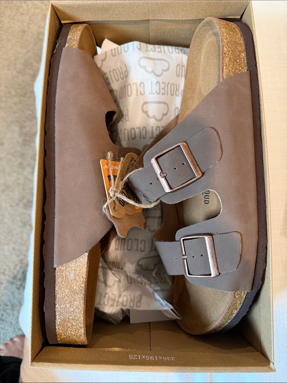 Men’s Project Cloud 2 Buckle Sandals Brown